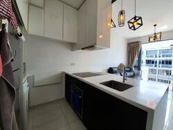 Palm Isles (D17), Condominium #464823841